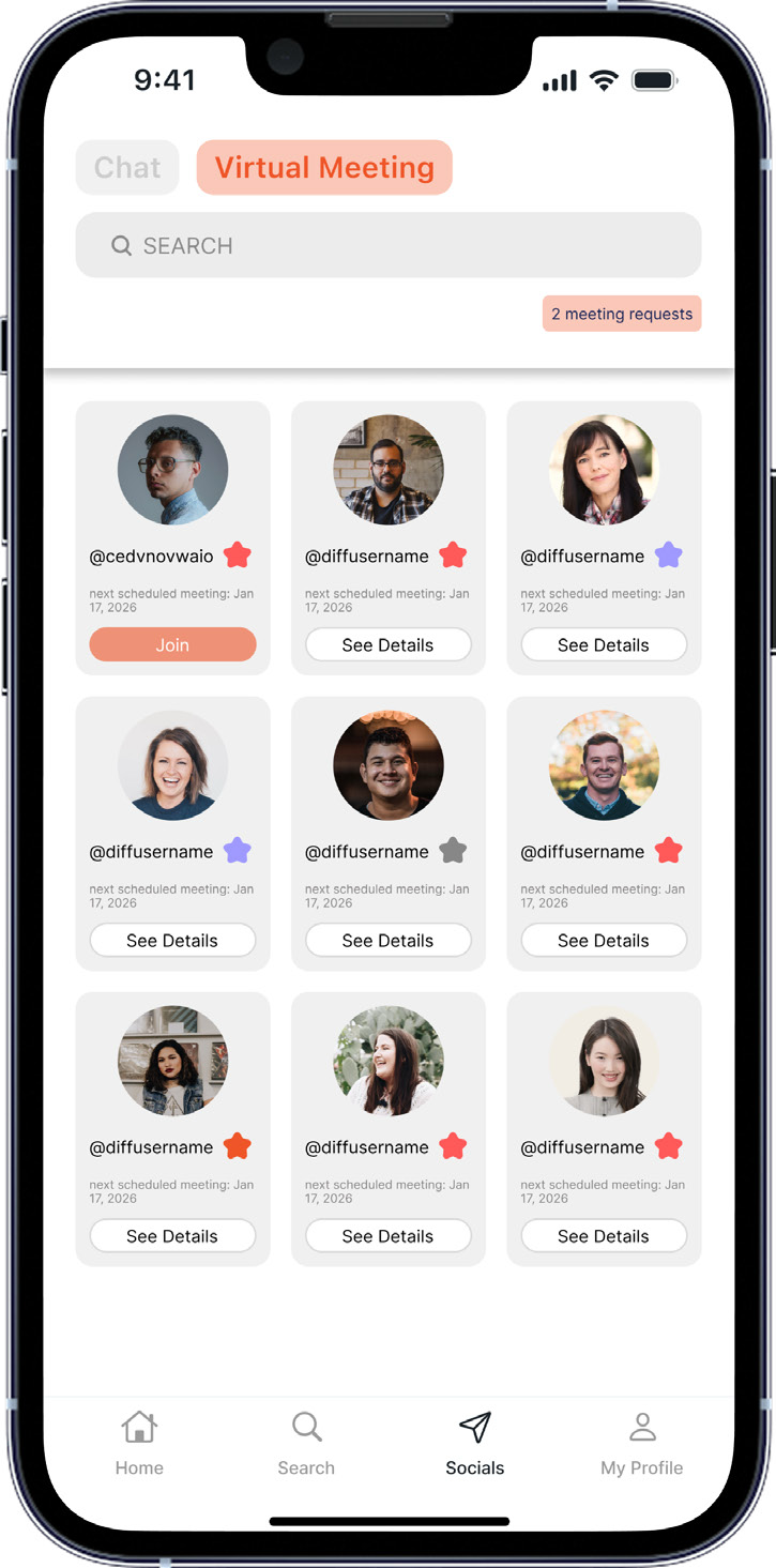 Virtual Meetings tab with meeting requests, scheduled artists, and Join or See Details buttons